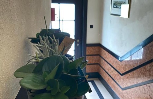 Vogelzang Apartment | #MacLeod2