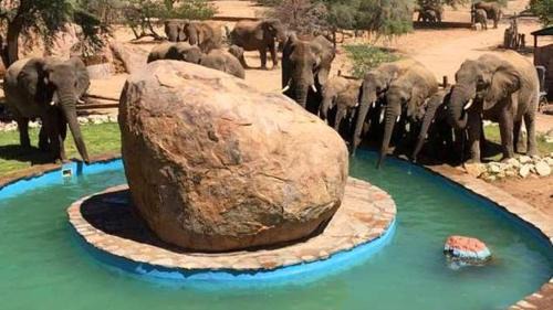 Damaraland Other | Madisa Camp