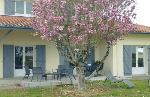 Tartas House | Madroles