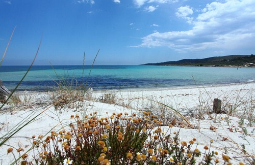 Pittulongu Apartment | Maestrale Flat - right in front of Lo Squalo beach