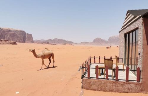 Wadi Rum Resort | Magic Bedouin Star
