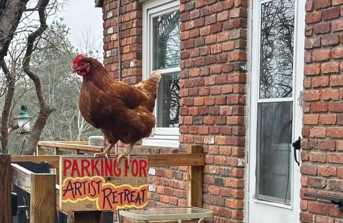 Coeymans Hollow Other | Magic Forest Farm's Artist Retreat