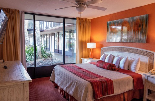 West Kissimmee Resort | Magic Tree Resort 1 Bedroom - Close Proximity to ALL Theme Parks