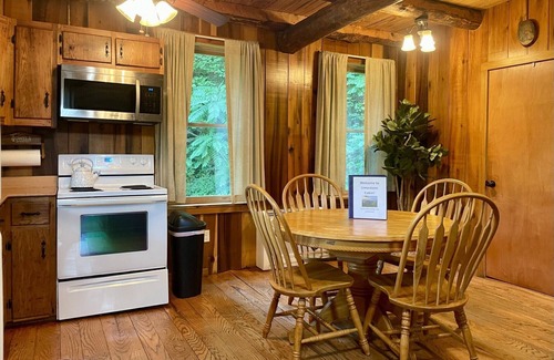 Hot Springs Cabin | Magical Cabin ~ River Access ~ Minutes from Town