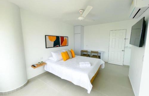 Monteria Apartment | Magico Apartaestudio con Piscina 1 Habitacion PR66C