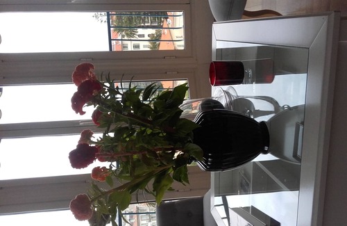 Liberation Apartment | MAGNIFICENT 3 ROOMS PANORAMIC VIEW CITY PRIVATE PARKING