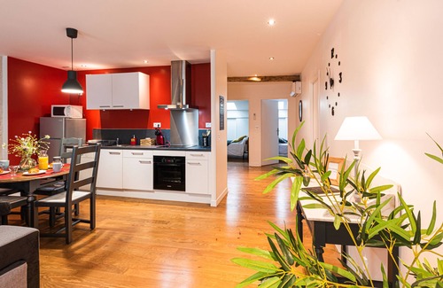 Nerac Apartment | Magnificent apartment facing the Château Henri IV