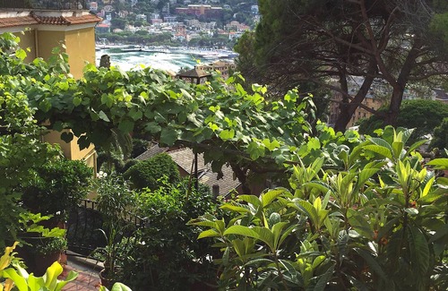 Rapallo Apartment | Magnificent apartment located in a quiet hillside just above Rapallo