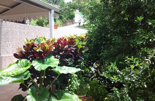 Le Lamentin Apartment | MAGNIFICENT COIN OF FRANCE in the tropics - Escape, comfort, authenticity