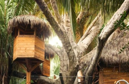Lo de Marcos House | Magnificent Living in Elegance! Beachfront, Pets Allowed, Free Breakfast!