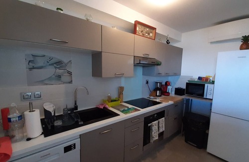 Schoelcher Apartment | Magnificent T2 Beachfront, pontoon access to the sea, small garden.