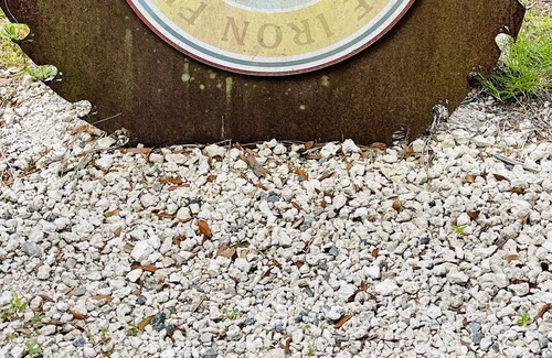 Daufuskie Island Villa | Magnificent Views of the Atlantic Ocean w/ Balcony