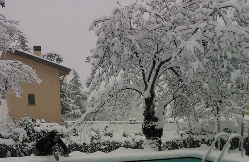 Cercedilla Ski Chalet | Magnificent villa with pool in the Sierra de Madrid. Wifi and all services.