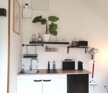 Saint-Barthelemy-d'Anjou Apartment | Magnifique studio avec extérieur