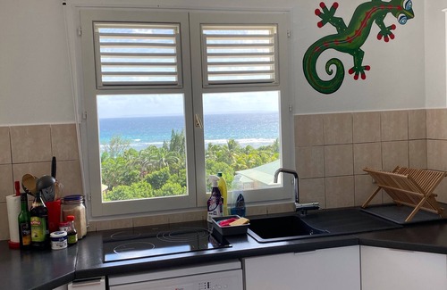 Anse des Rochers Apartment | Magnifique appartement vue mer 180° - Hauteur anse Des Rochers - Avec Cuve Eau