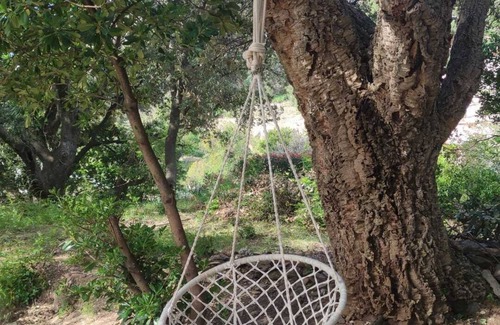 Erbalunga Apartment | Magnifique vu mer Deux Chambres Jardin Ombragé Balcon à 5 min à Pieds de la mer
