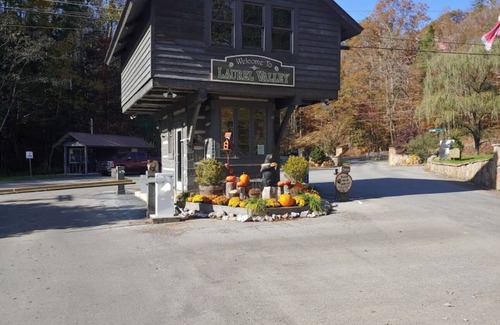 Townsend Cabin | Magnolia Smokey Mtn Cabin with hot tub & community pool close to Cades Covennnn