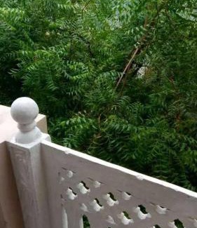 Gurugram Hotel | Maharaja farms