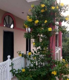 Gurugram Hotel | Maharaja farms