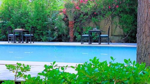 Amer Hotel | Maharana Palace