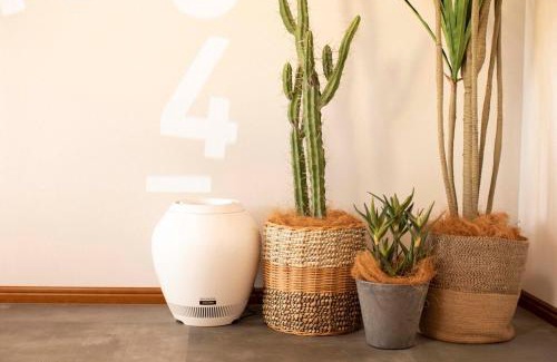 Ito House | Maigre KENKEN