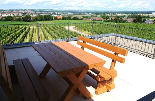 Kitzingen Apartment | Main vacation in the vineyard