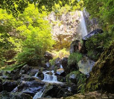 Saint-Symphorien-de-Thenieres Apartment | Maison La vie de l'Aubrac - Gîte Lo Bel Peis