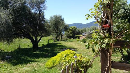 Serra-di-Ferro House | Maison Alba Rossa 56