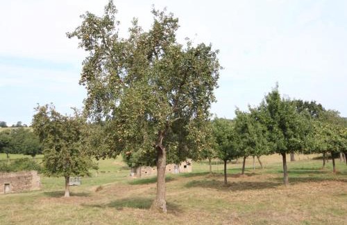Tinchebray-Bocage House | Maison ancienne avec insert et animaux autorisés - FR-1-497-141