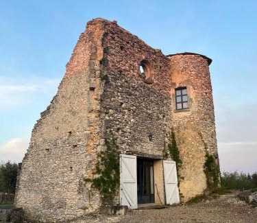Neuvy-le-Roi House | Maison atypique dans une tour