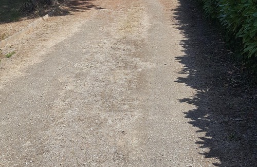 Sainte-Eulalie-en-Born Ski Chalet | Maison au Calme sur 3300 m² de Terrain Arboré, Avec Terrasse Couverte
