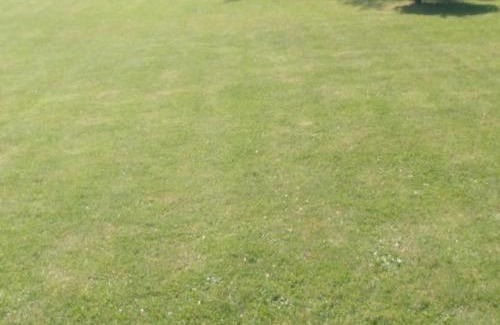 Beussent House | Maison au calme avec grand jardin, proche plages et chocolaterie, idéale familles et randonneurs - FR-1-376-119