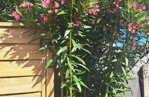 Saint-Seurin-de-Bourg House | Maison au Calme Avec Jardin Clos