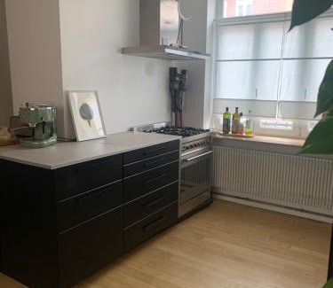 Bois Blancs House | Maison avec jardin à Lille Bois Blancs