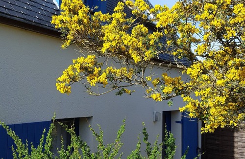 Port-Manech House | Maison Bleue - Finistère Sud - 4 people close to the beach and the port