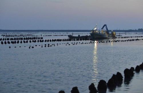 LʼAiguillon-sur-Mer House | Maison calme avec clim, WIFI, jardin et vue sur le Lay - FR-1-194-274