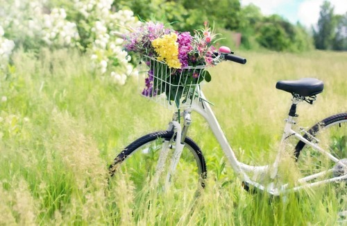 Hagetmau House | Maison Camé - Le Chai