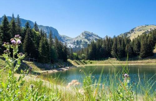 Villard-de-Lans House | Maison confortable à Villard-de-Lans - 8 couchages, WiFi, parking gratuit, proche des pistes et du centre. - FR-1-548-5