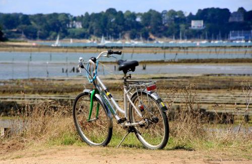 Saint-Pierre-Quiberon House | Maison contemporaine 10 pers à Saint-Pierre-Quiberon