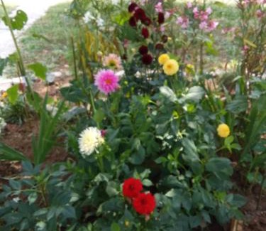 Gallargues-le-Montueux House | Maison coquette camarguaise