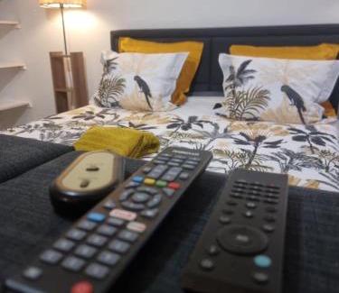 Rosenau House | MAISON COSY 7 minutes des frontières