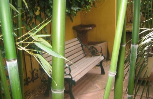 Cachan House | Maison D'artiste Avec Bambouseraie Enchanteresse aux Portes de Paris