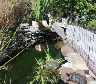 Oasis - Maroc House | Maison d'hôte avec jardin