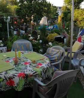 Oasis - Maroc House | Maison d'hôte avec jardin