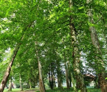Lusigny-sur-Barse Bed & Breakfast | Maison d'hôtes Au Cœur des Lacs