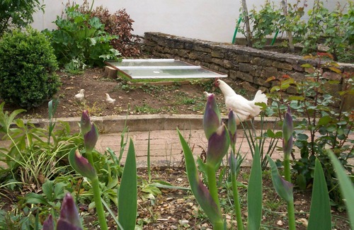 Fuisse House | MAISON D'HÔTES