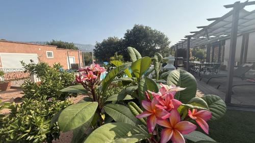 Nans-les-Pins Bed & Breakfast | Maison D'hôtes Hippône