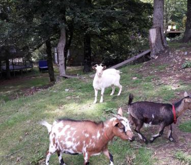 Plougonven House | Maison dans un environnement boisé très calme