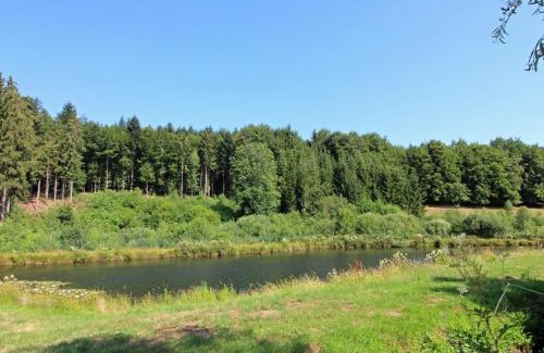 Bellefontaine House | Maison de Caractère pour 12, Proche Gérardmer & Thermes, Nature et Confort - Bellefontaine - FR-1-589-40