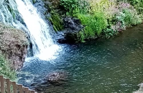 Bellefontaine House | Maison de Caractère pour 12, Proche Gérardmer & Thermes, Nature et Confort - Bellefontaine - FR-1-589-40